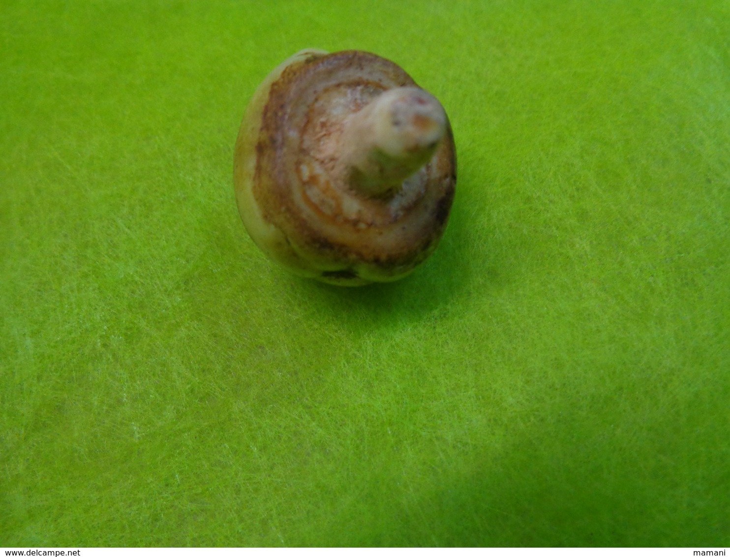 pomme en porcelaine  pour calva avec son bouchon