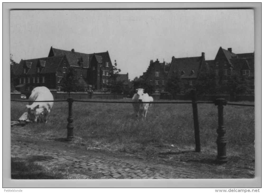 (J593d) - Postwandelclub Gent 1 - Begijnhoven Te Gent - Gent