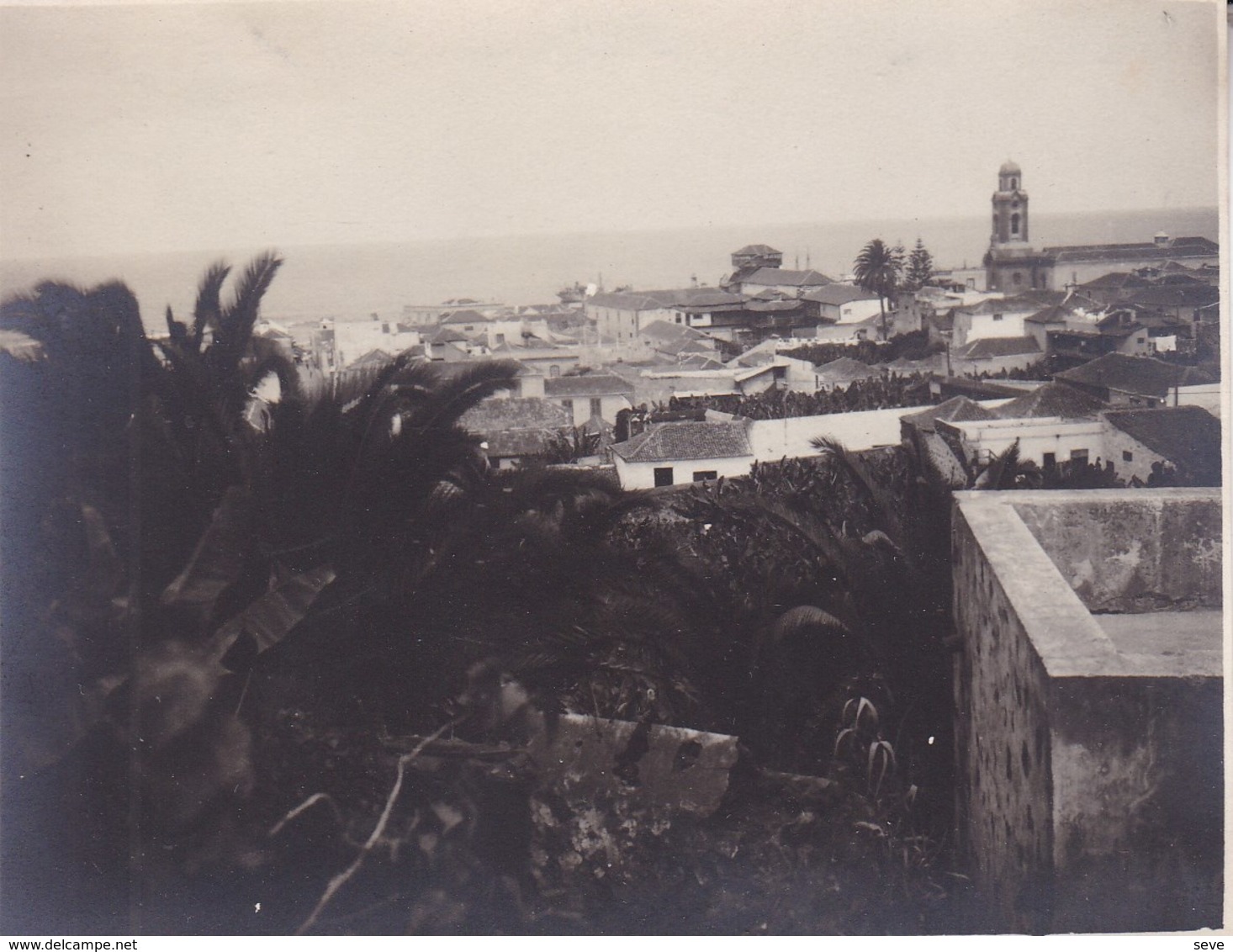 TENERIFE  Puerto Puerte De La Cruz  1921  Photo Amateur Format Environ 7,5 Cm X 5,5 Cm ESPAGNE - Lugares