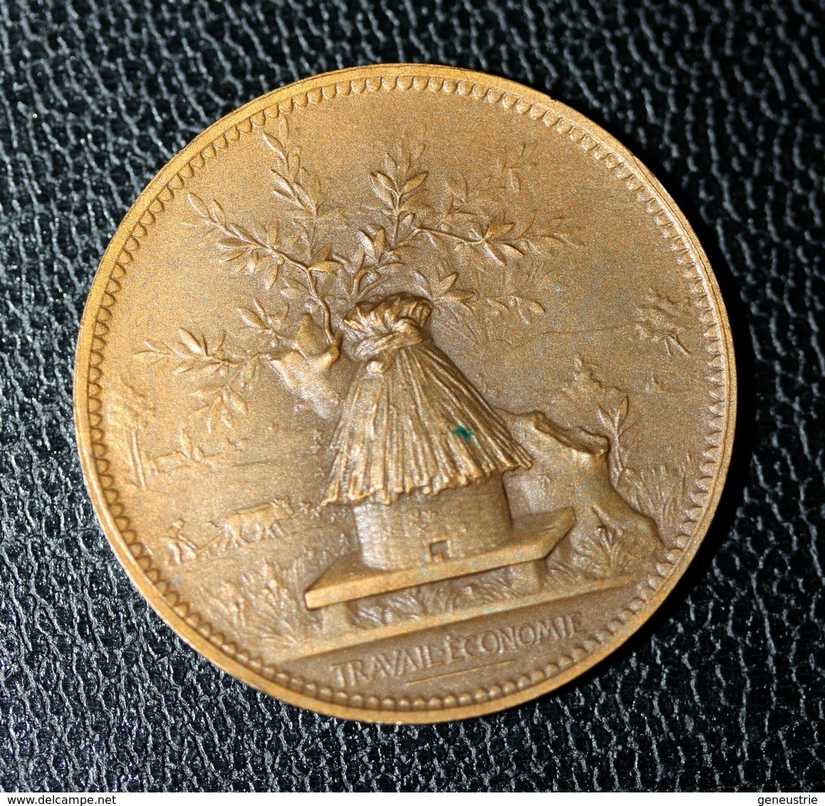 Médaille Jeton Banque 1894 "Caisse D'Epargne Et De Prévoyancede Paris - Fondé En 1818" Ruche - Abeille - Professionals / Firms