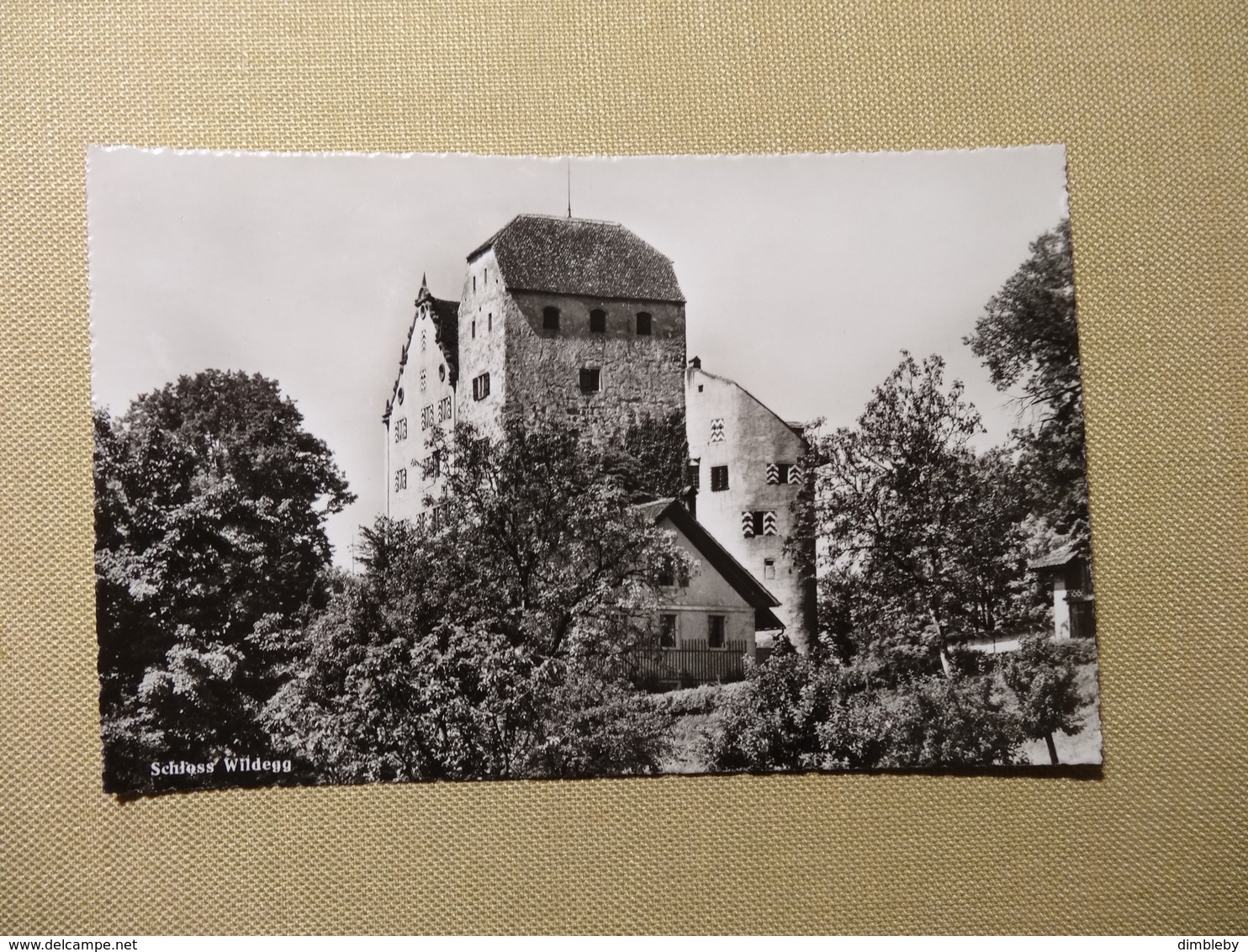 Schloss Wildegg - (5672) - Wildegg