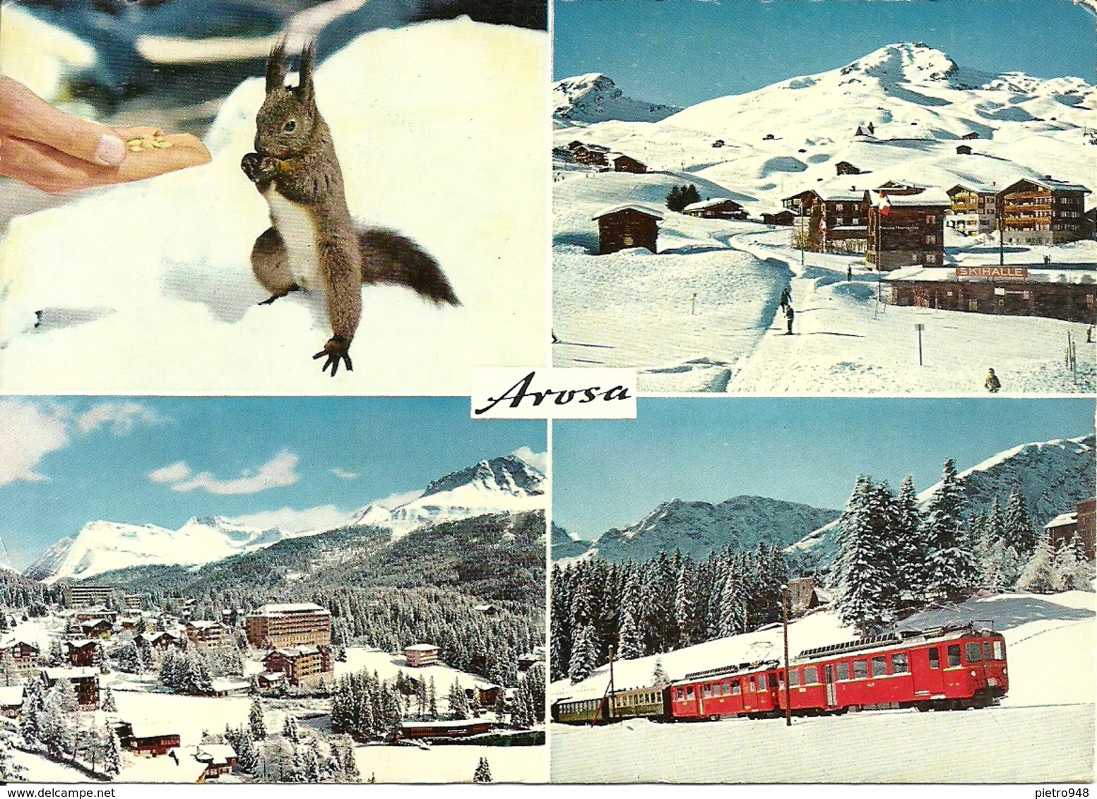 Arosa (Grisons, Svizzera) Vues: Eichhornchen, Weisshorn, Untersee, Rhatische Bahn - Arosa