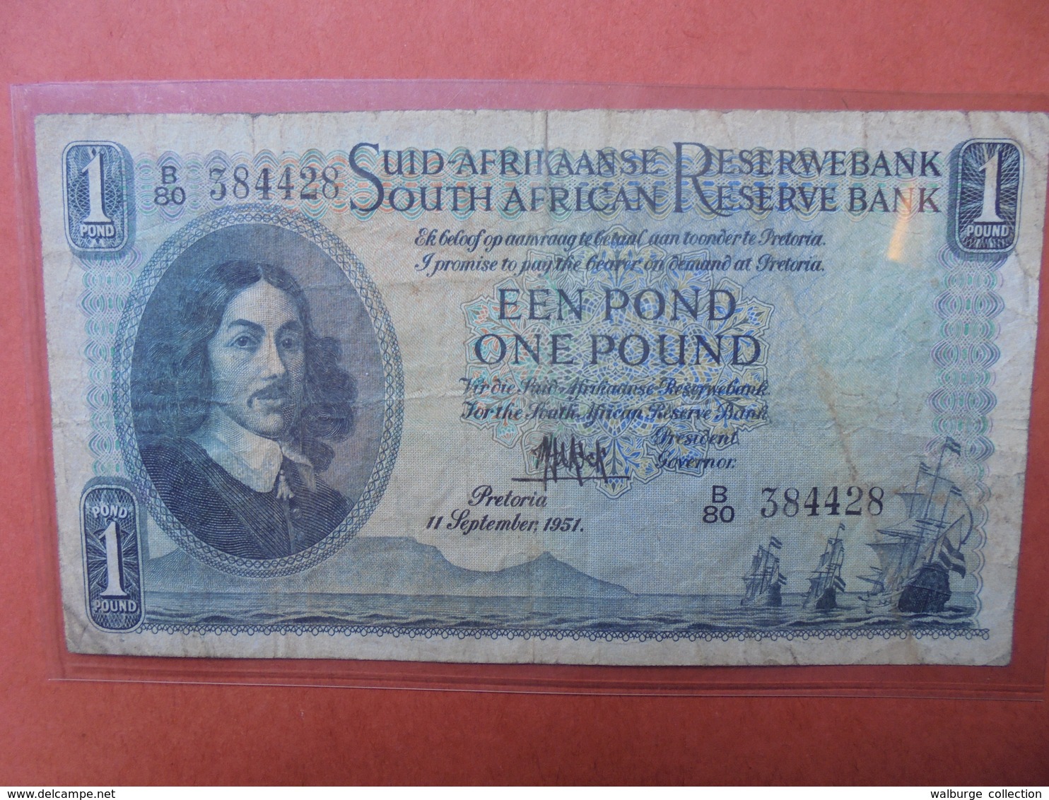 AFRIQUE DU SUD 1 POUND 1951 CIRCULER (B.3) - Afrique Du Sud