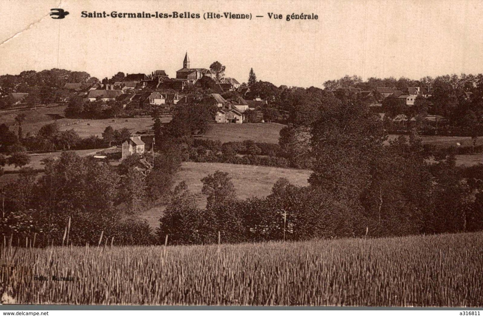 SAINT GERMAIN LES BELLES VUE GÉNÉRALE - Saint Germain Les Belles