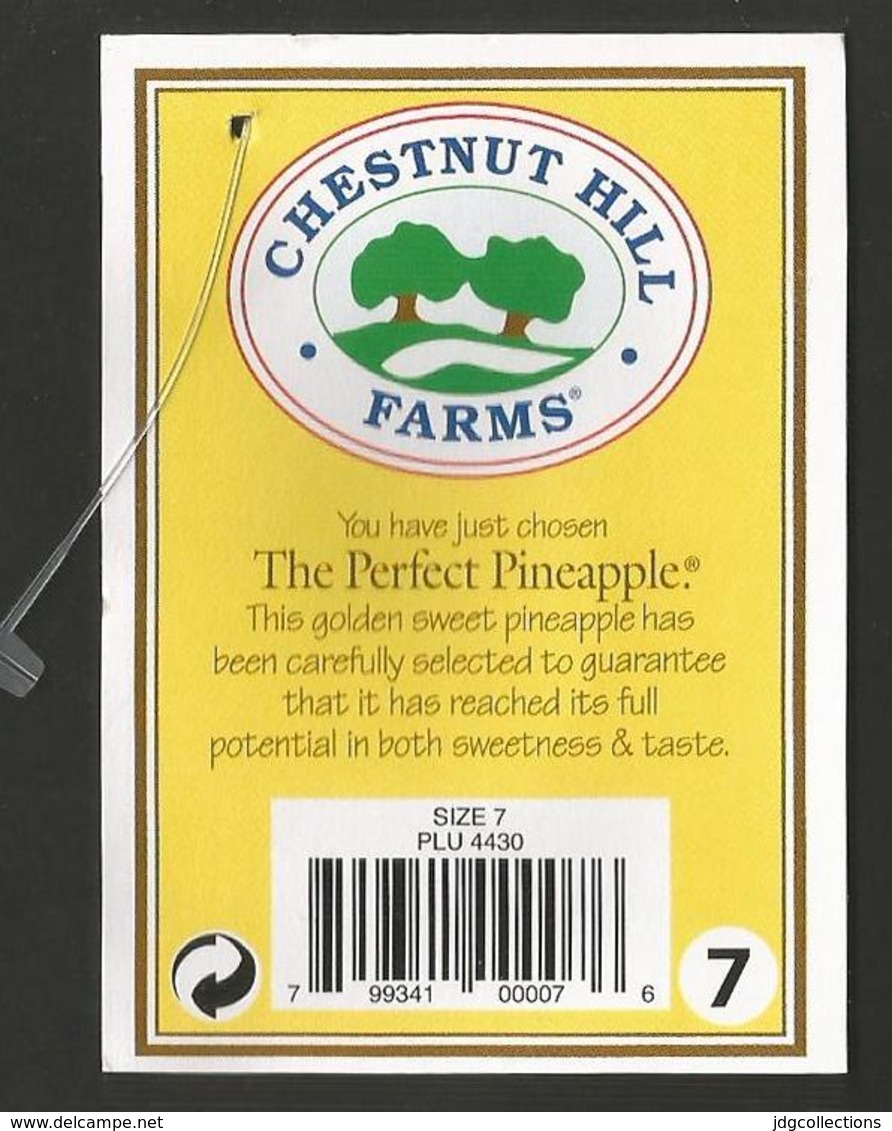 # PINEAPPLE CHESTNUT HILL FARMS Type 2 Size 7 BAR CODE Fruit Tag Balise Etiqueta Anhanger Costa Rica Ananas Pina - Obst Und Gemüse