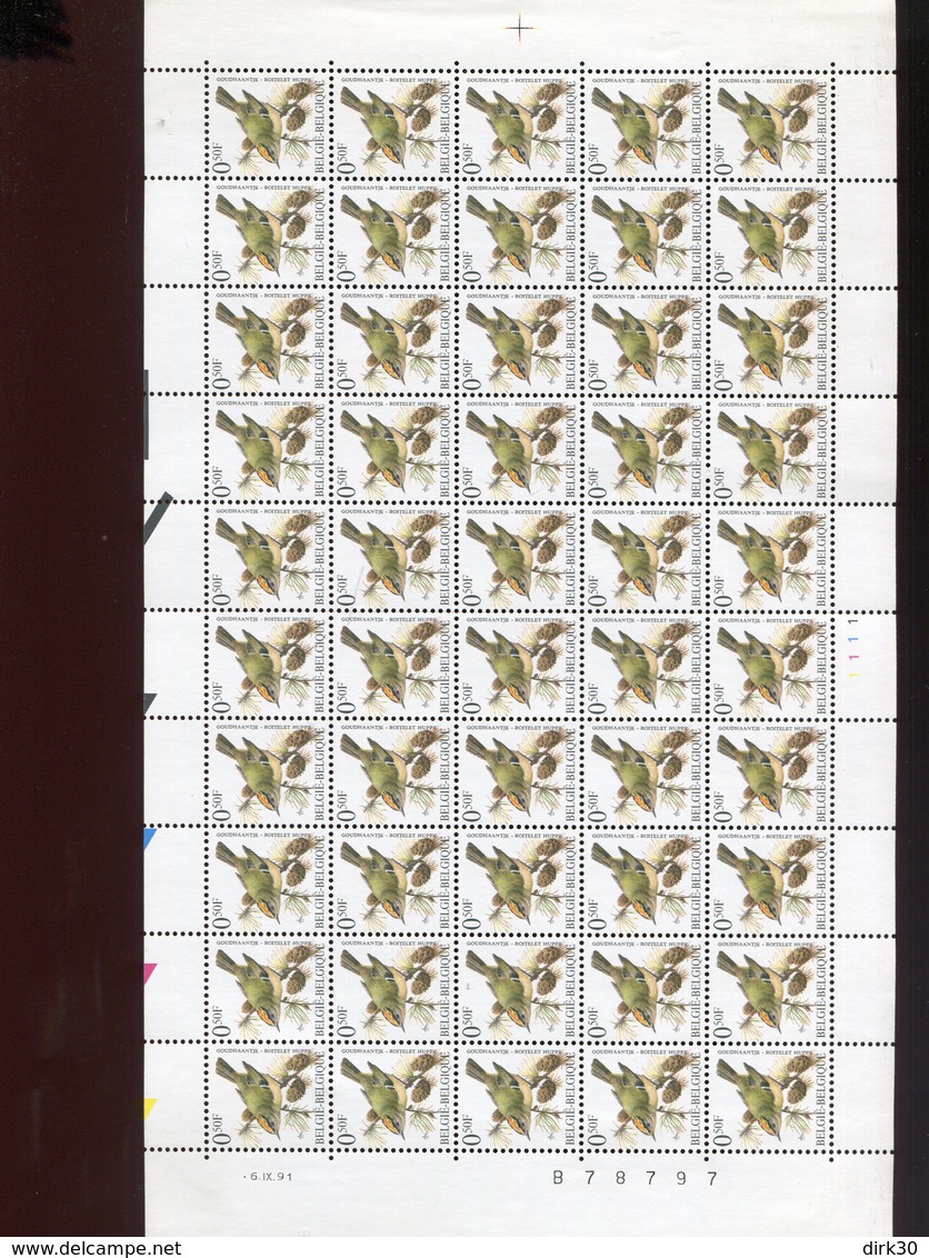 Belgie Andre Buzin Birds 2424 Full Sheet MNH Plaatnummer 1 6/9/1991 - 1985-.. Birds (Buzin)