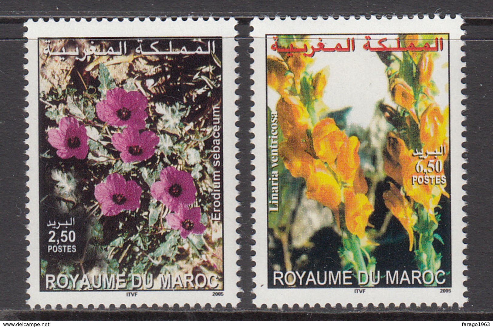 2005 Morocco Maroc  Flora Fleurs Complete Set Of 2 MNH - Morocco (1956-...)