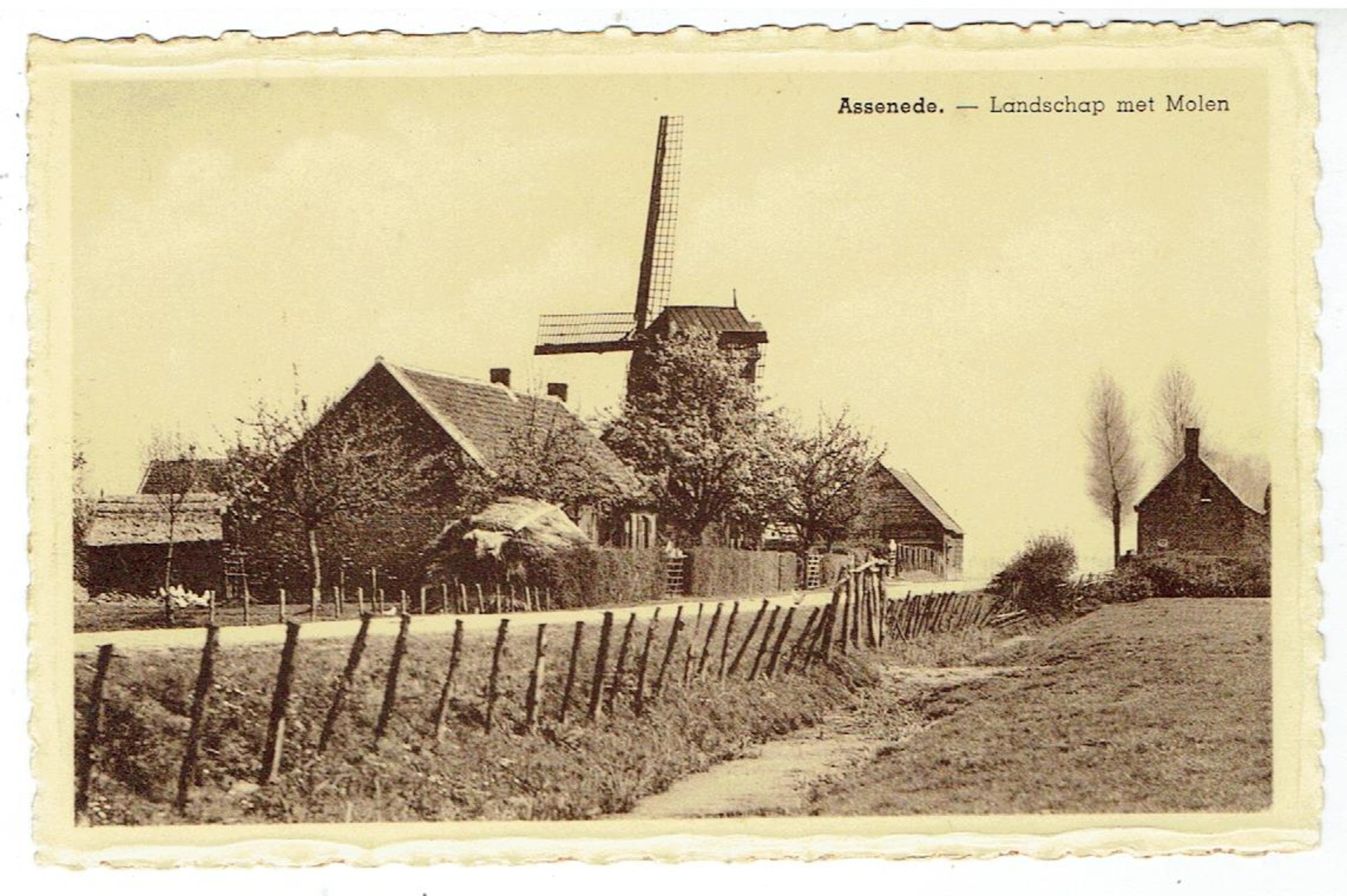 ASSENEDE - Landschap Met Molen - Assenede