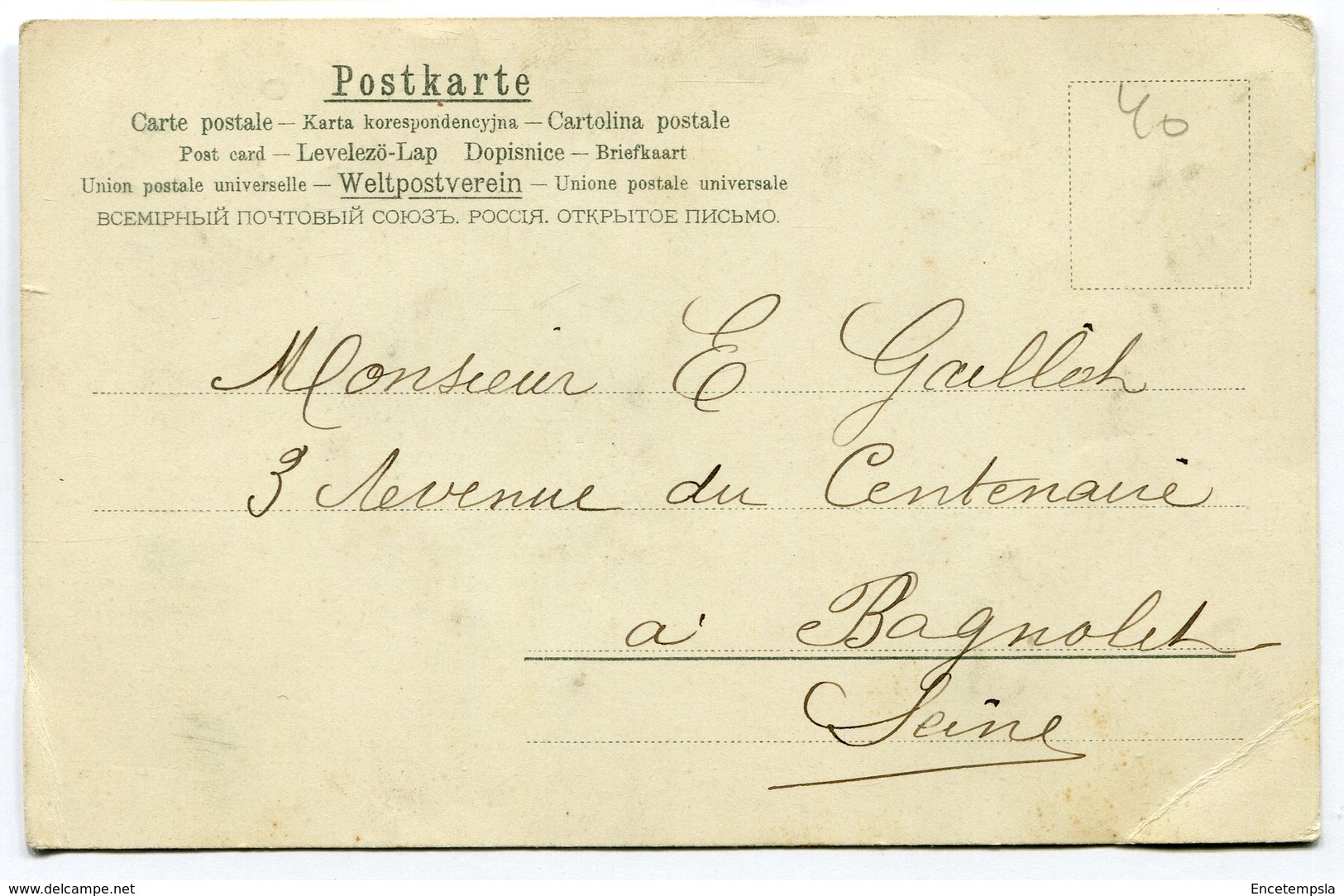 CPA - Carte Postale - Bonne Fête - Main Tenant Une Fleur Rose - 1905 (B8955) - Autres & Non Classés