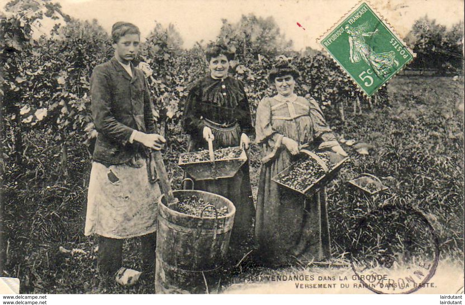 D33  VENDANGES DANS LA GIRONDE  Versement Du Raisin Dans La Baste - Autres & Non Classés