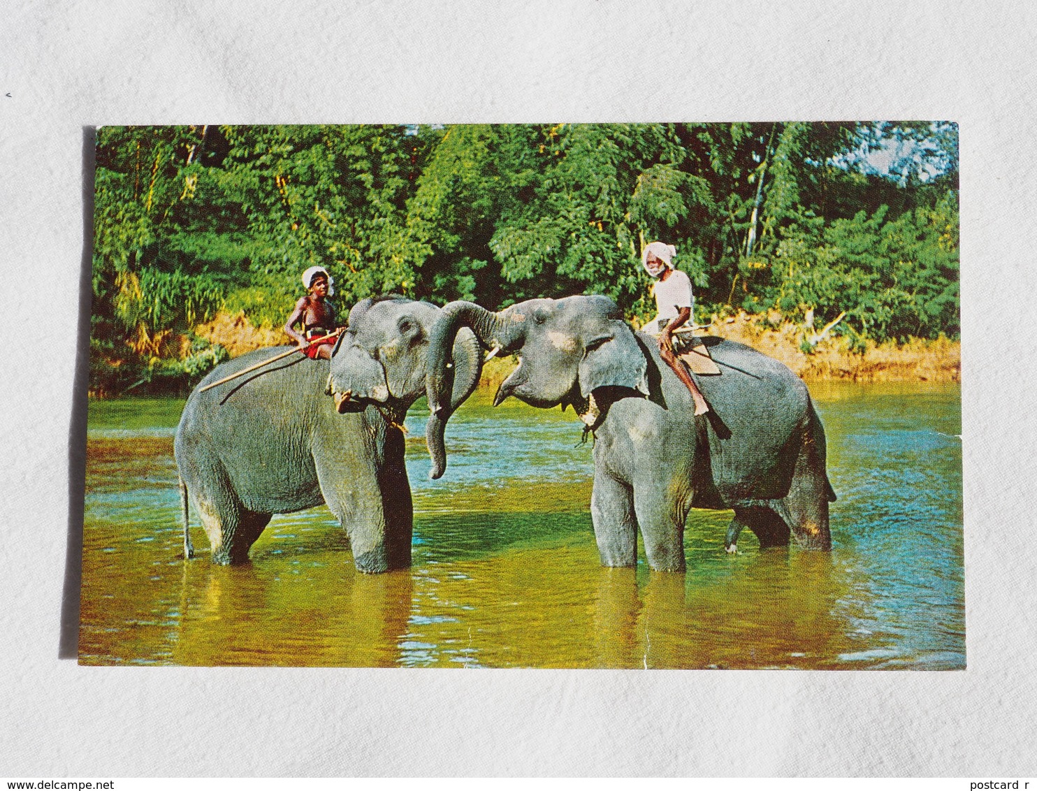 Sri Lanka Ceylon Elephants At Play    A 195 - Sri Lanka (Ceylon)