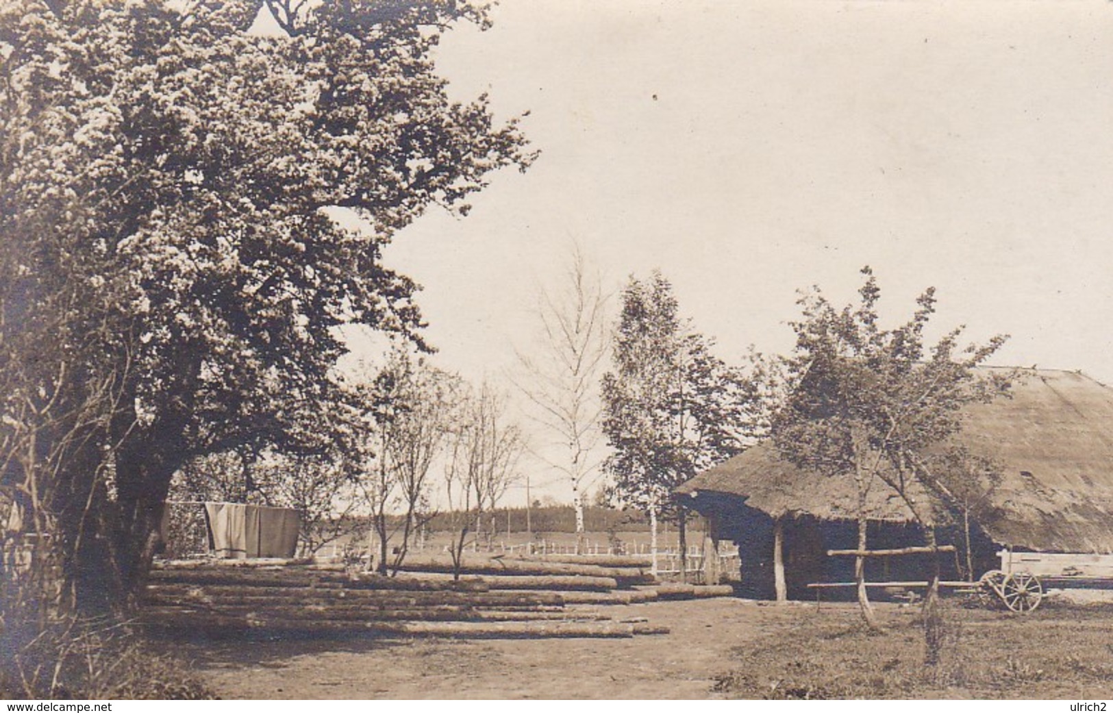 AK Kozenyaty - Holzhaus - Gefällte Bäume - Belarus - Ca. 1915 (41808) - Weißrussland