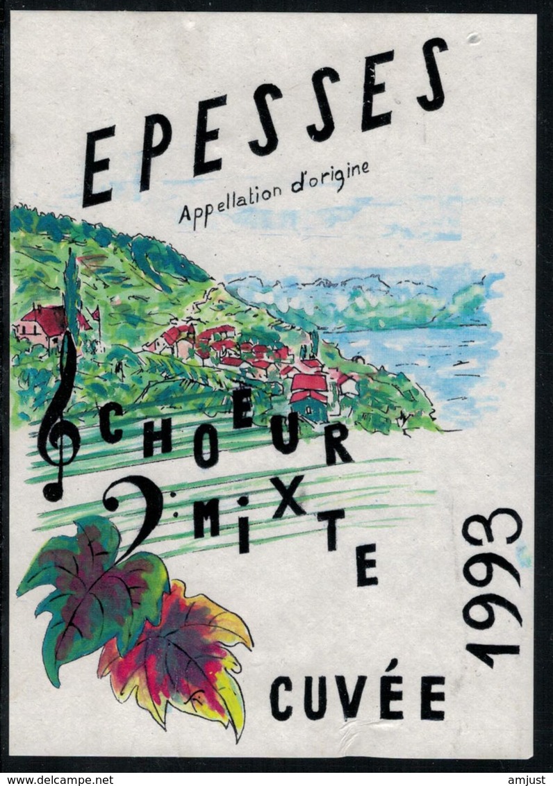 Etiquette De Vin // Epesses, Cuvée 1993 Du Choeur Mixte, Vaud, Suisse - Musik