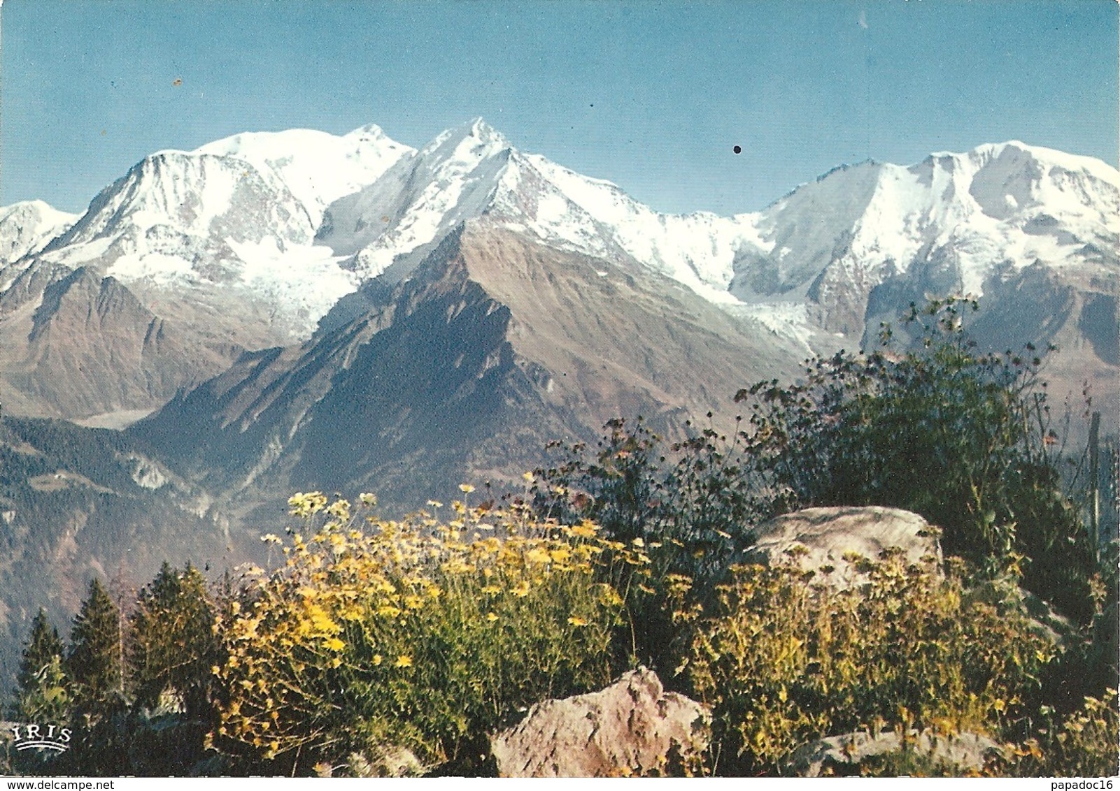 74 - Massif Du Mont Blanc Depuis Le Bettex - éd. CAP / IrIs N° PP 2889 - Chamonix-Mont-Blanc