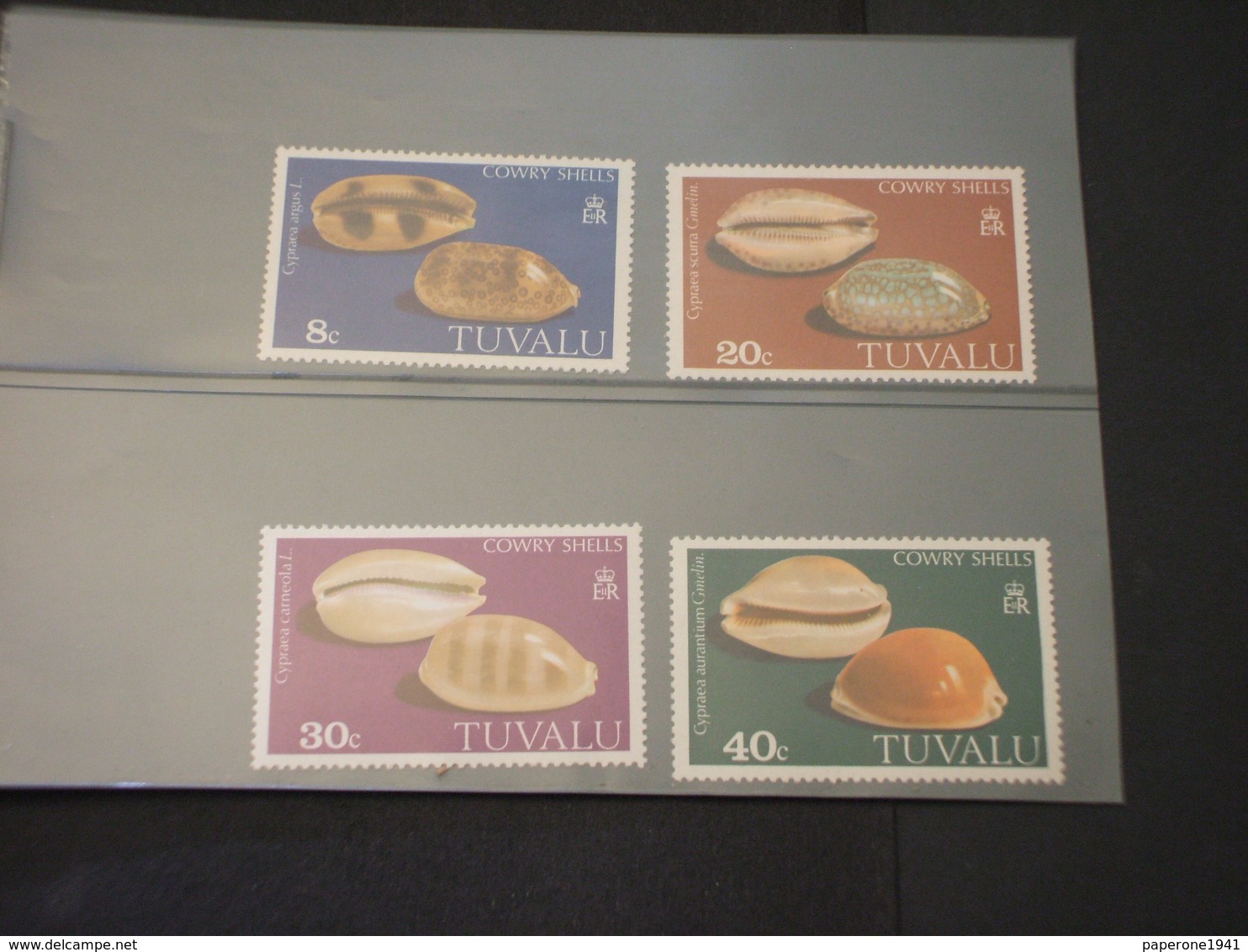 TUVALU - 1980 CONCHIGLIE 4 VALORI - NUOVI(++) - Tuvalu