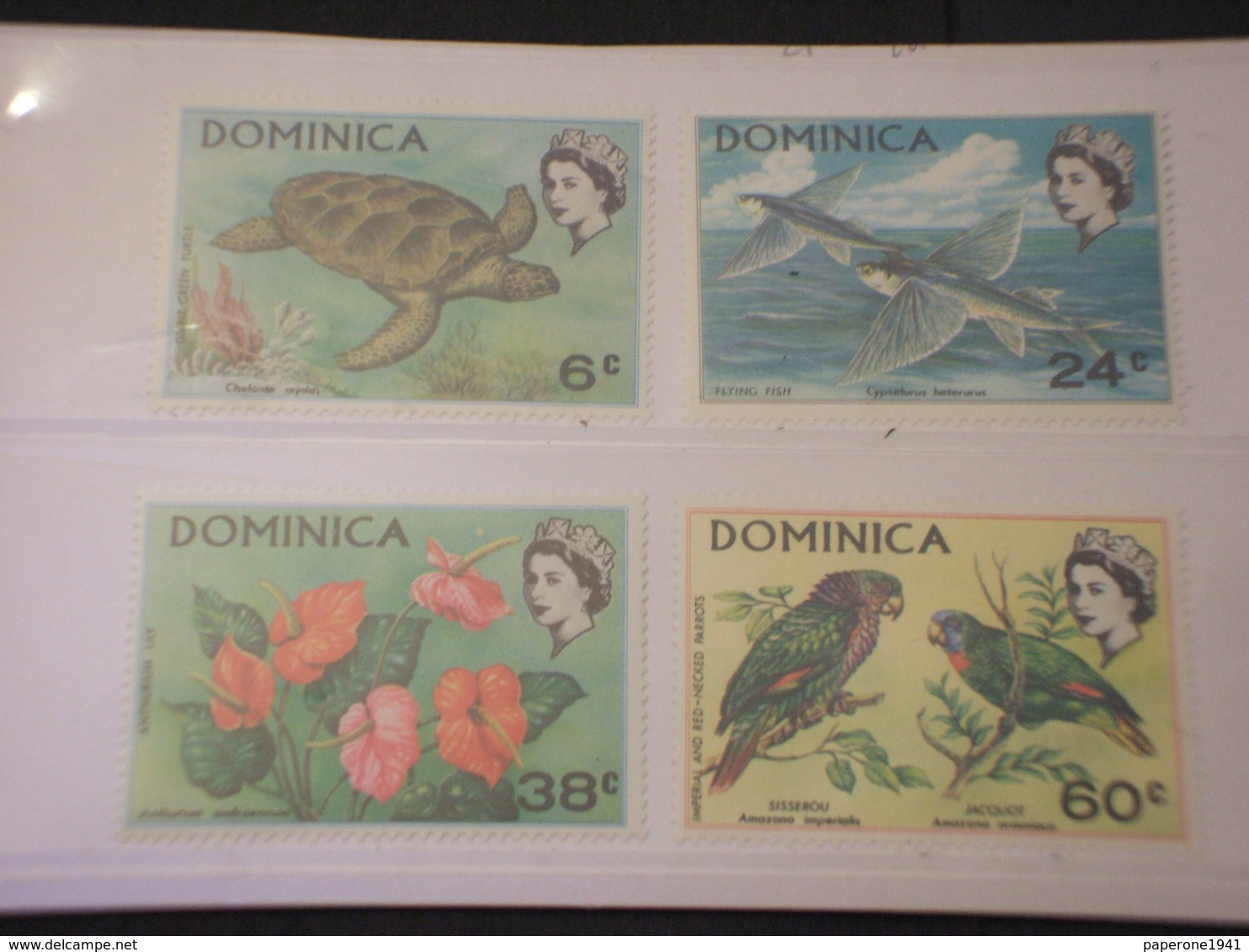 DOMINICA - 1970 FAUNA/FLORA/UCCELLI 4 VALORI - NUOVI(++) - Dominica (1978-...)