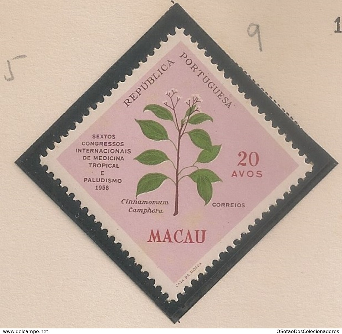 Macau Portugal China Chine 1958 - Congressos Internacionais Medicina Tropical -Congress Of Tropical Medicine - MNH/Neuf - Unused Stamps