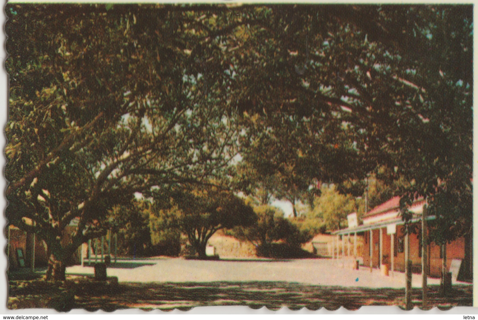 WESTERN AUSTRALIA WA Lighthouse ROTTNEST ISLAND Murray Views W30C Postcard C1970 - Other & Unclassified