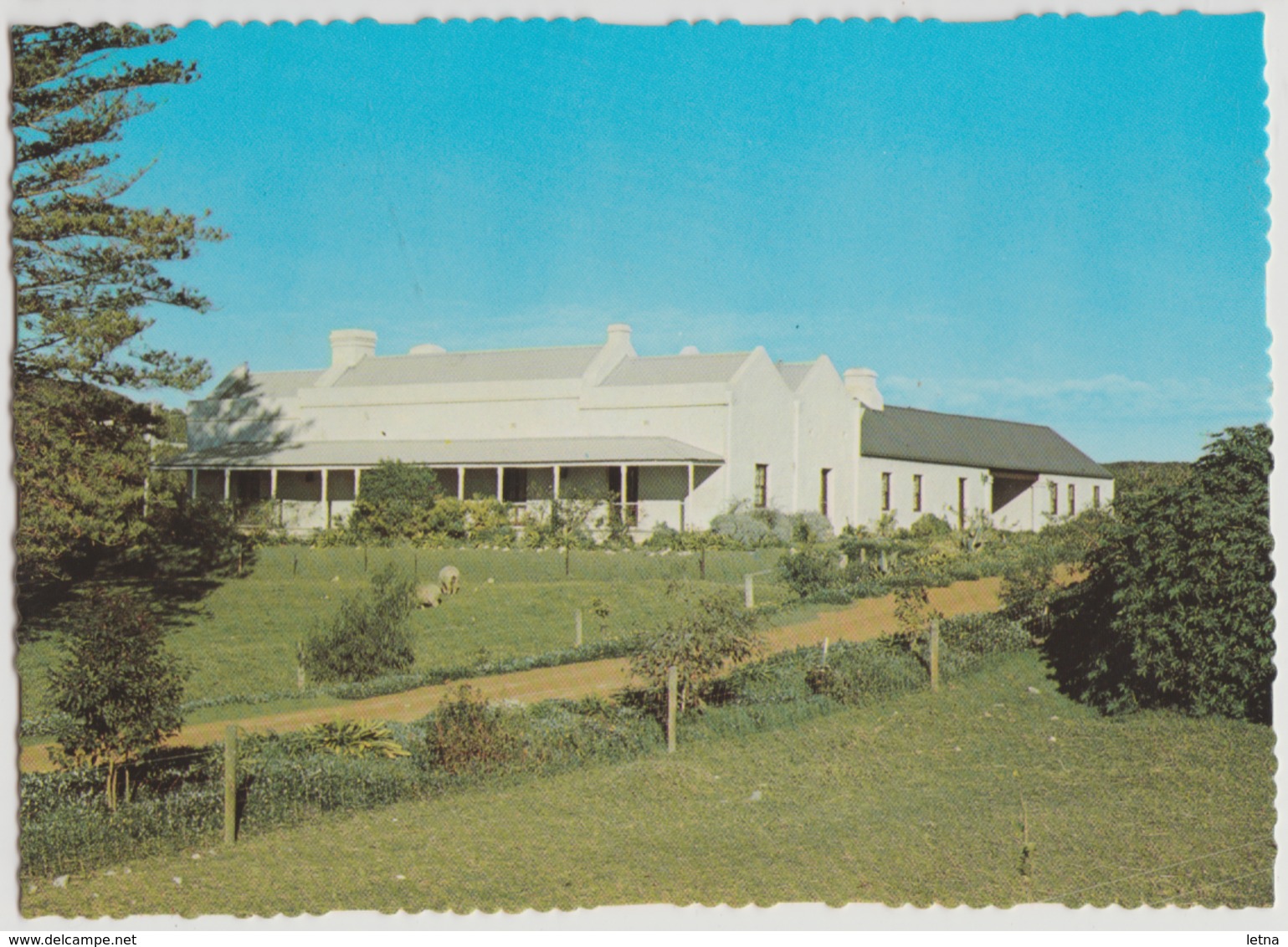 WESTERN AUSTRALIA WA Dempster Homestead ESPERANCE Murray Views E2 Postcard C1970s - Other & Unclassified