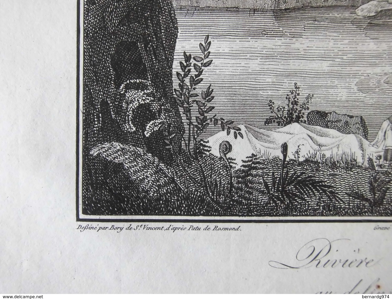 Réunion : "Cascade De La Rivière Des Roches Prise Du Bassin Inférieur" . Rare Eau Forte De Bory De Saint-Vincent (1804) - Historical Documents