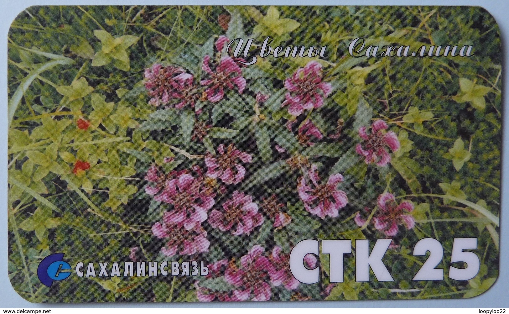 RUSSIA / USSR - Remote Memory - Yuzhno - Sakhalin Region - Flowers - GTK 25 - Used - Russia