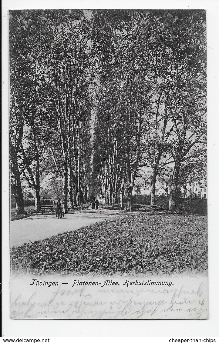 Tuebingen - Platanen-Allee. Herbststimmung - Tuebingen