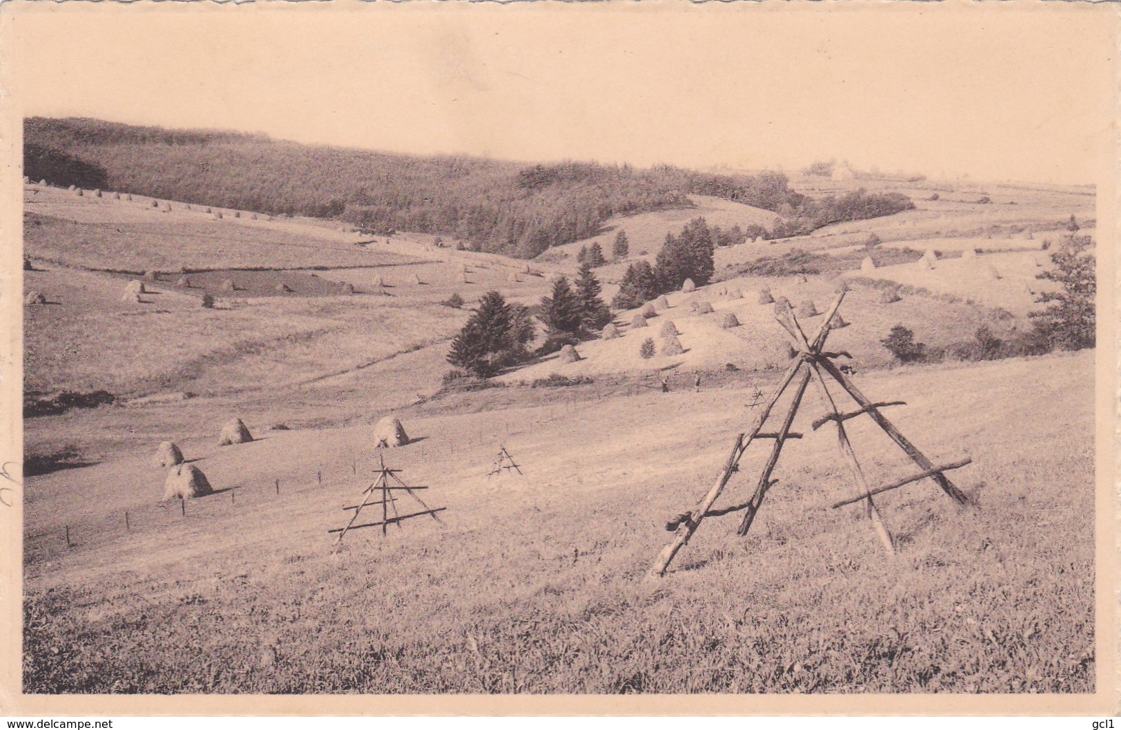 Manderfeld - Vallée De La Tronkel - Bullange - Büllingen