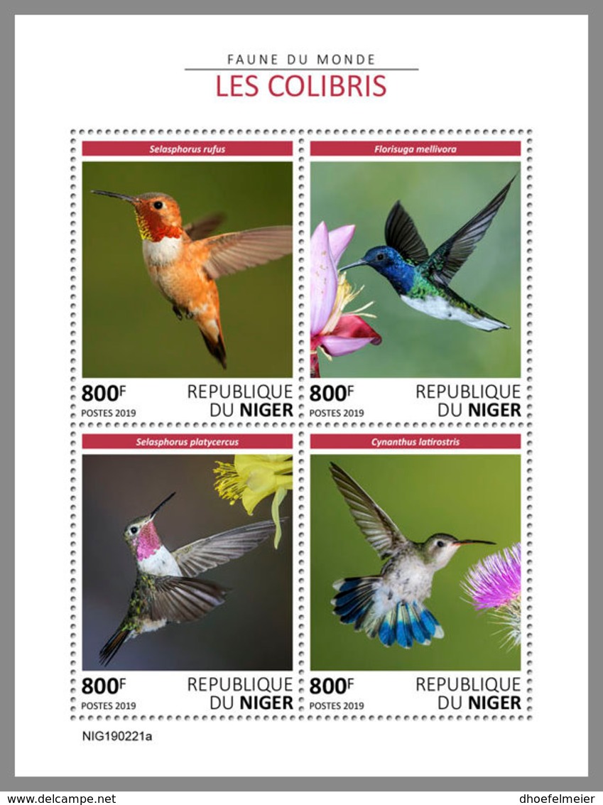 NIGER 2019 MNH Colibri Kolibris Colibris M/S - OFFICIAL ISSUE - DH1923 - Colibris