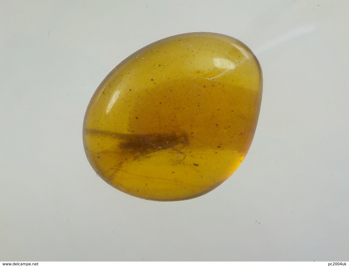 Burmese / Burmite Amber With A Caddis Fly Inclusion. Free Shipping - Archaeology