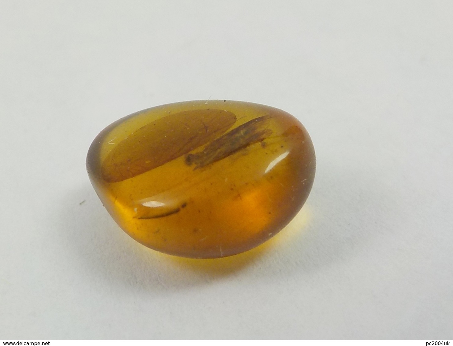 Burmese / Burmite Amber With A Caddis Fly Inclusion. Free Shipping - Archaeology