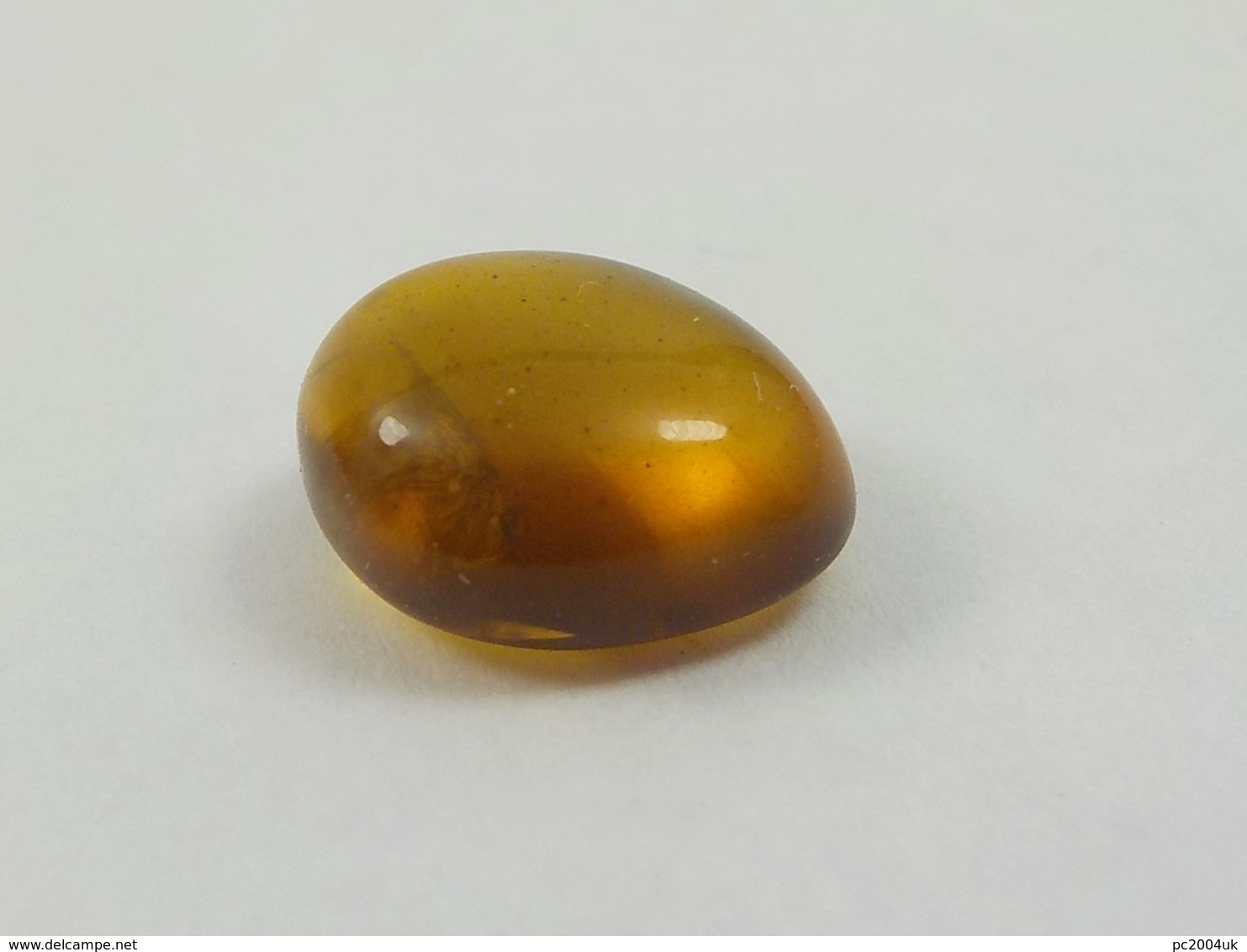 Burmese / Burmite Amber With A Caddis Fly Inclusion. Free Shipping - Archaeology