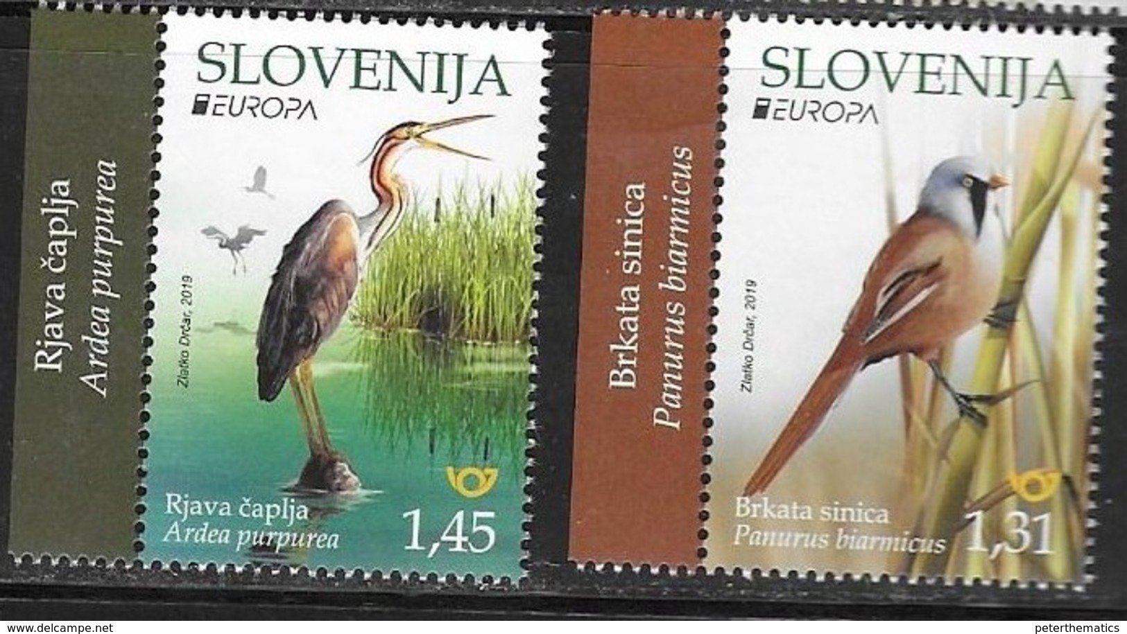 SLOVENIA, 2019, MNH, EUROPA, BIRDS, 2v - 2019