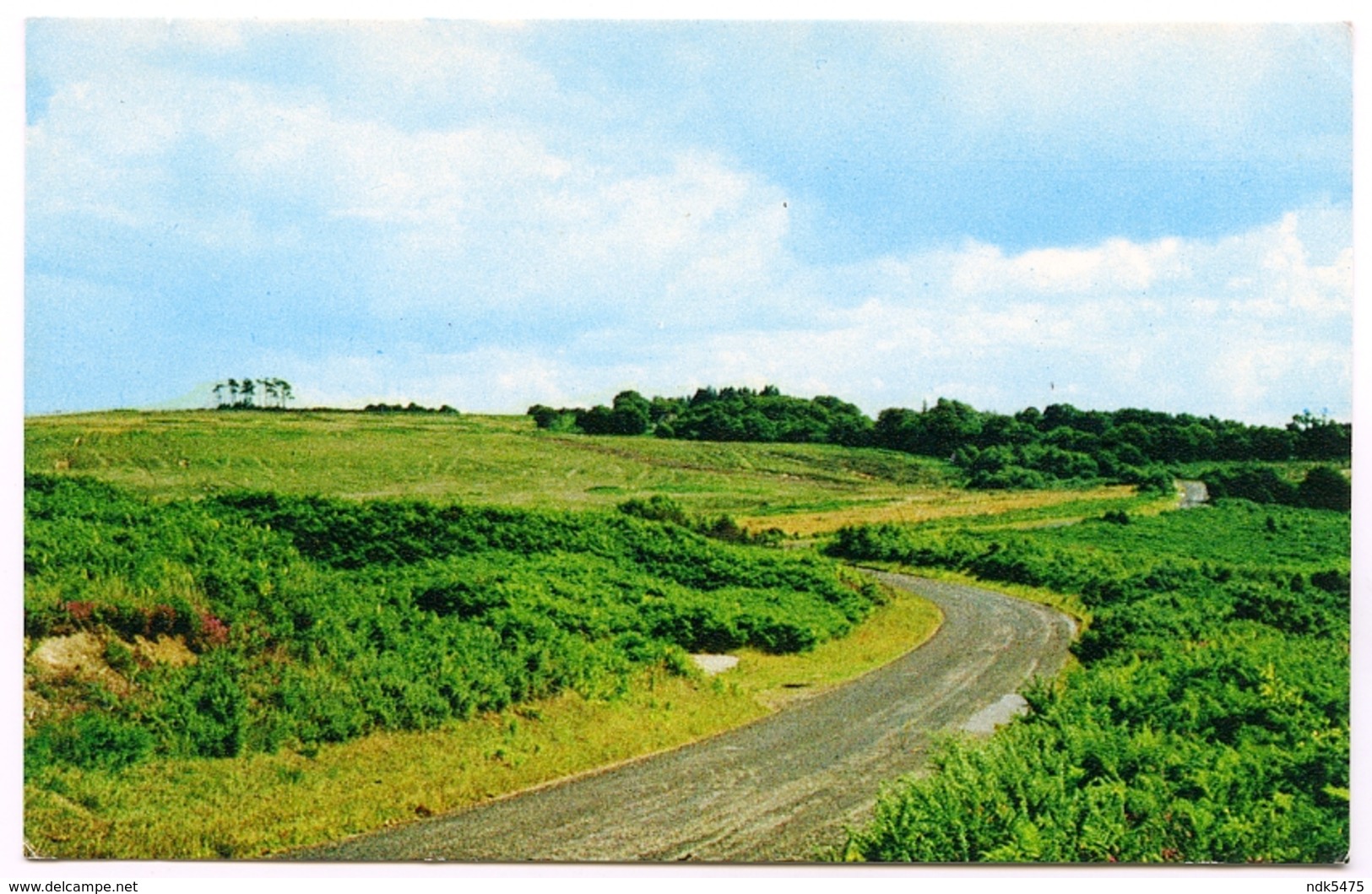 ASHDOWN FOREST : CAMP HILL - Other & Unclassified