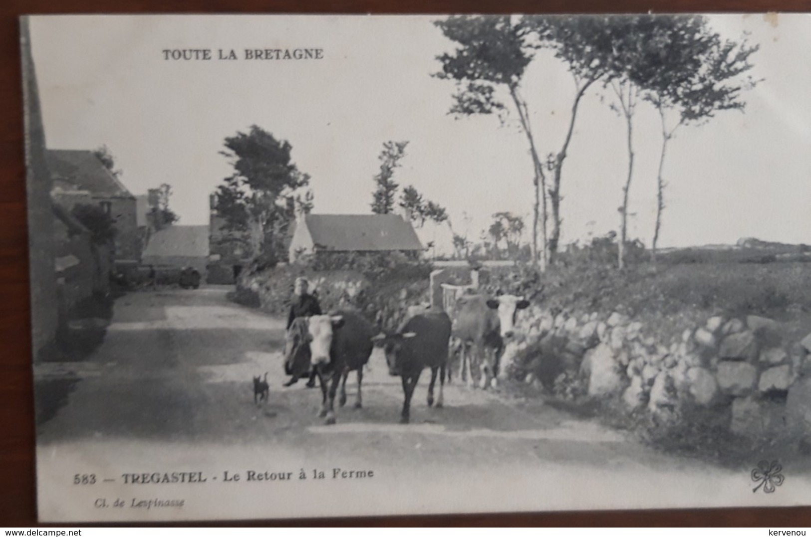 TREGASTEL Le Retour à La Ferme  (Cliché Lespinasse) Bretonne Ramenant Ses Vaches - Trégastel