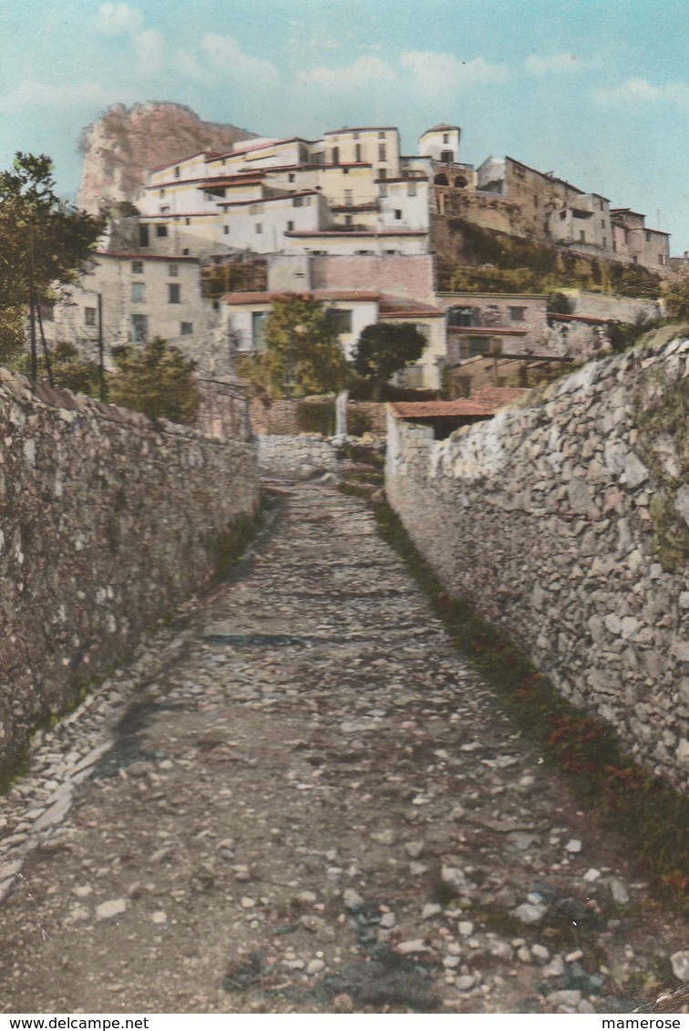 SAINT-JEANNET (06). Vieux Chemin Vers Le Village, Au Fond Le Baou - Autres & Non Classés