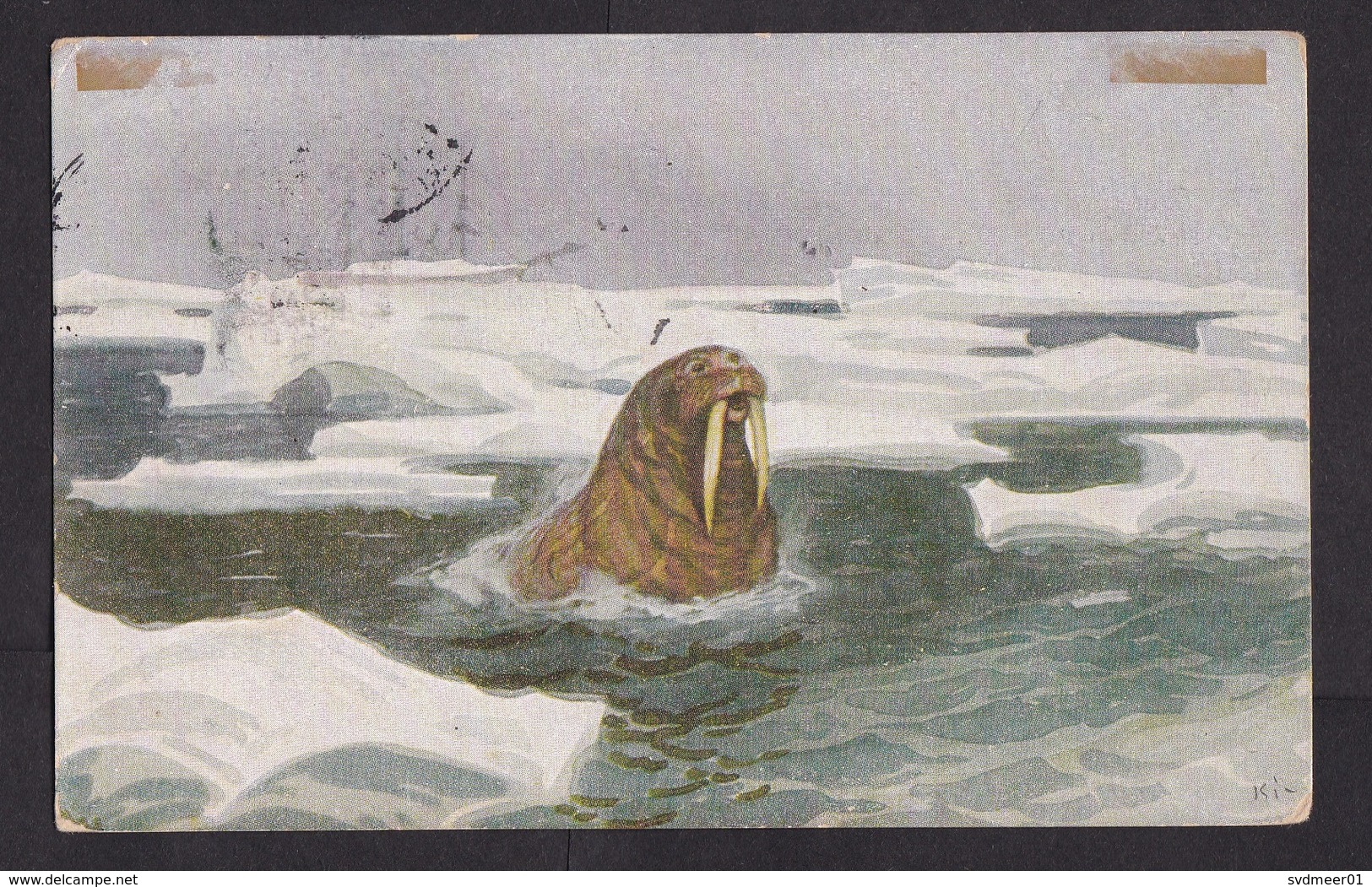 Norway: Picture Postcard, 1924? 1 Stamp, Cancel Polhavet, From Ship Fram At Polar Sea (damaged!) - Brieven En Documenten