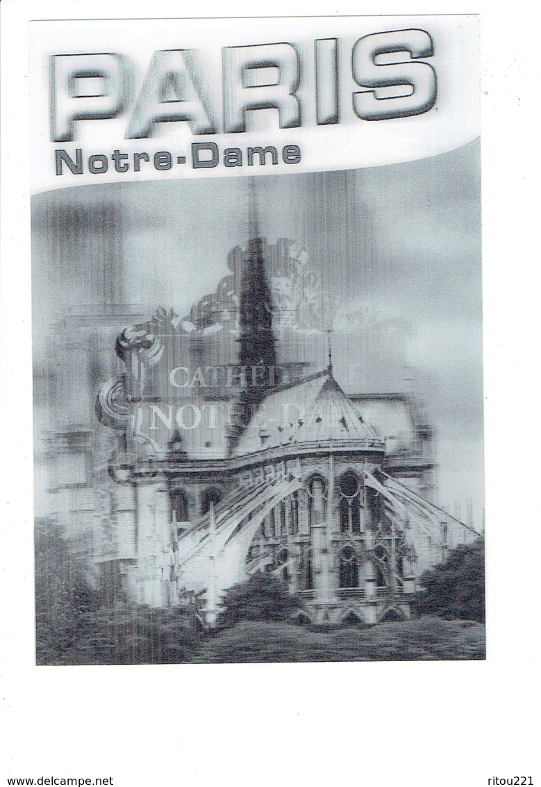 Cpm Plastifiée - 75 - PARIS - Notre Dame -  2009 - Viséo 3D - - Notre Dame De Paris