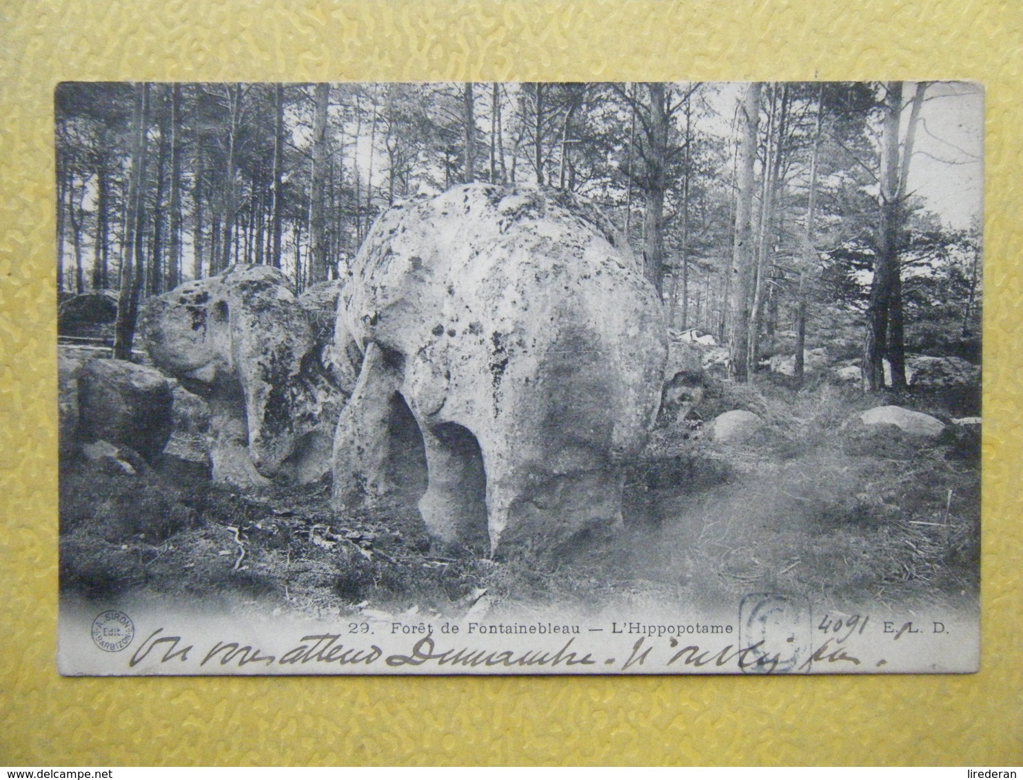 FONTAINEBLEAU. La Forêt. L'Hippopotame. - Fontainebleau