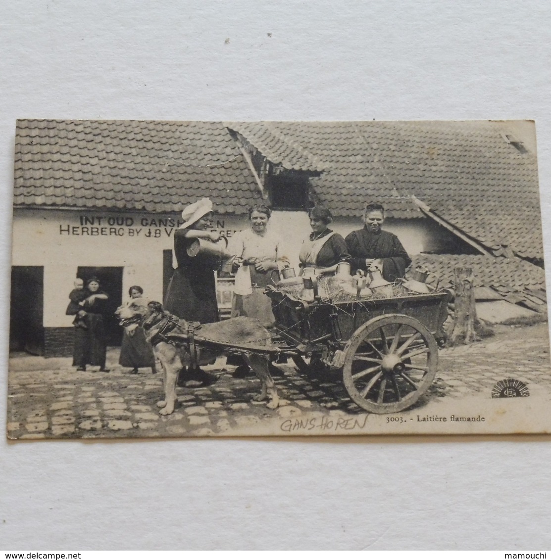 GANSHOREN, LAITIERE FLAMANDE -  Envoyée 23-02-1915 Par Soldat Allemand De Alost - Marchands Ambulants