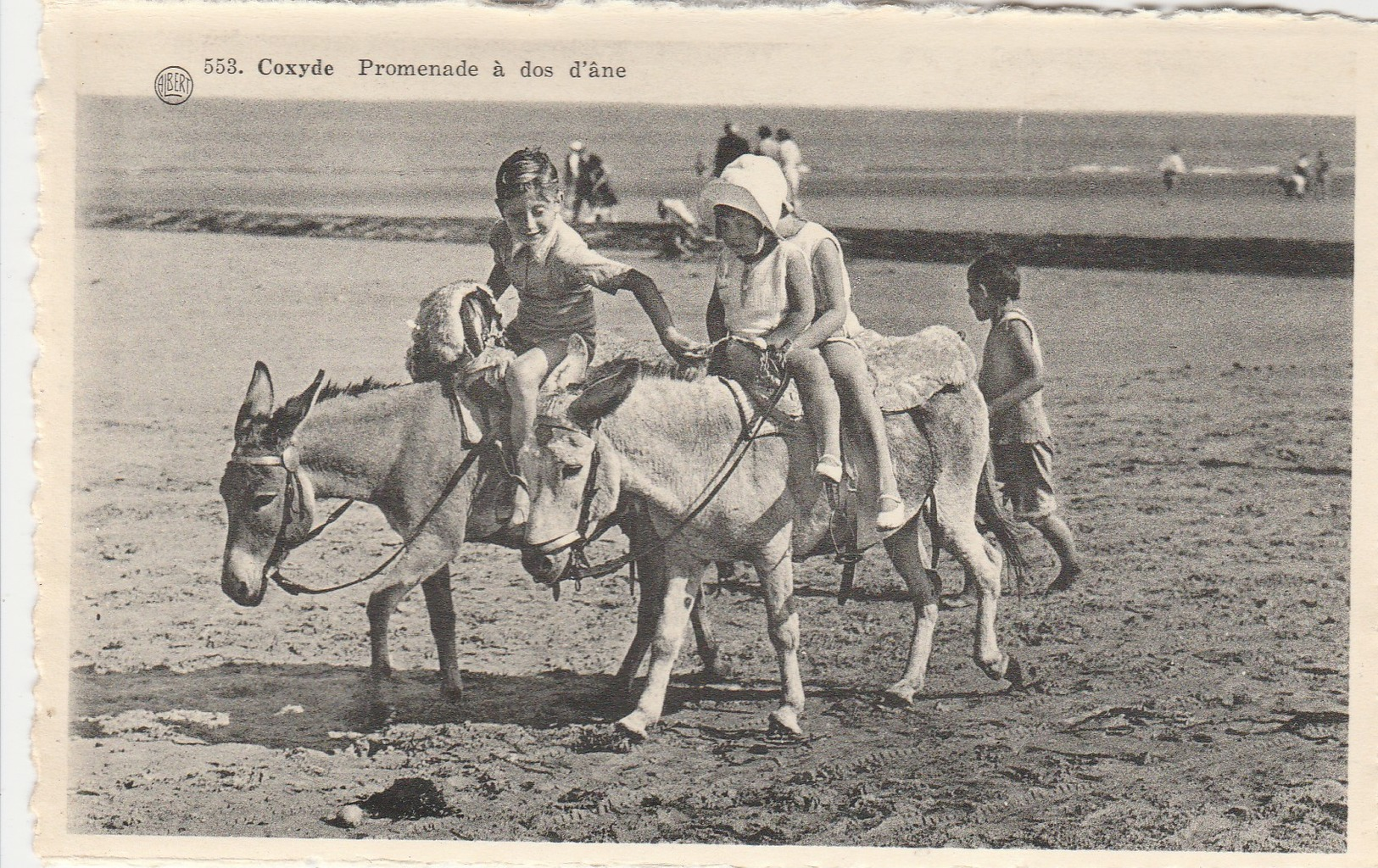 Coxyde , Koksijde: Promenade à Dos D'ânes , (  Albert  , N° 553 ) - Koksijde