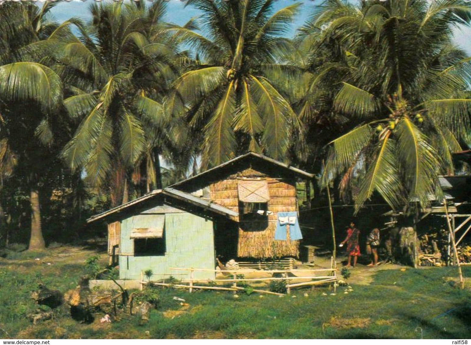 1 AK Philippinen * A Typical Philippine Village House Made Of Wood, Bamboo, Gras And Nipa Palm * - Philippinen