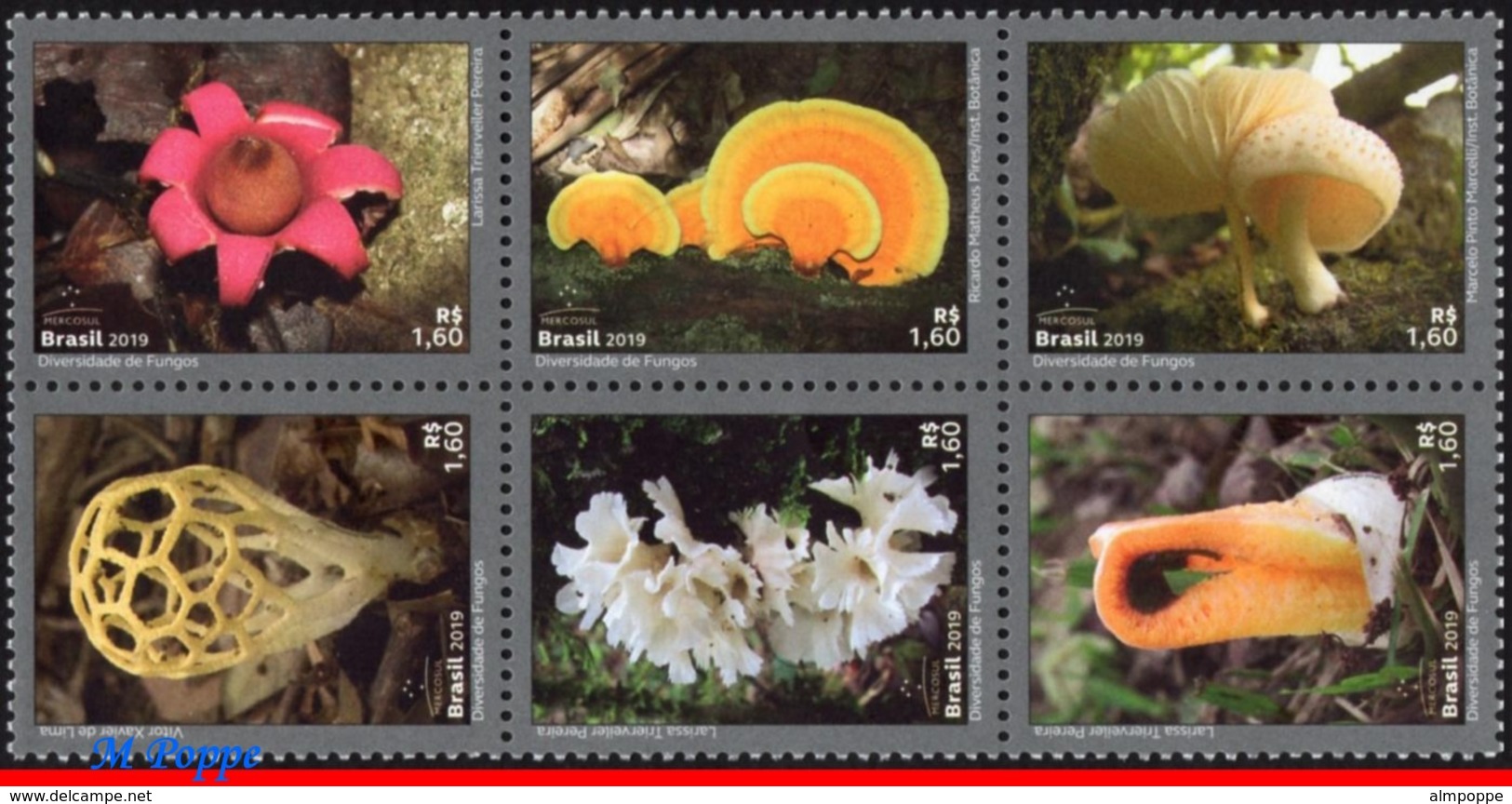 Ref. BR-V2019-08 BRAZIL 2019 - FLOWERS, PLANTS, DIVERSITY OF FUNGI,, MUSHROOMES, MERCOSUL SERIES, SET MNH,6V - Unused Stamps