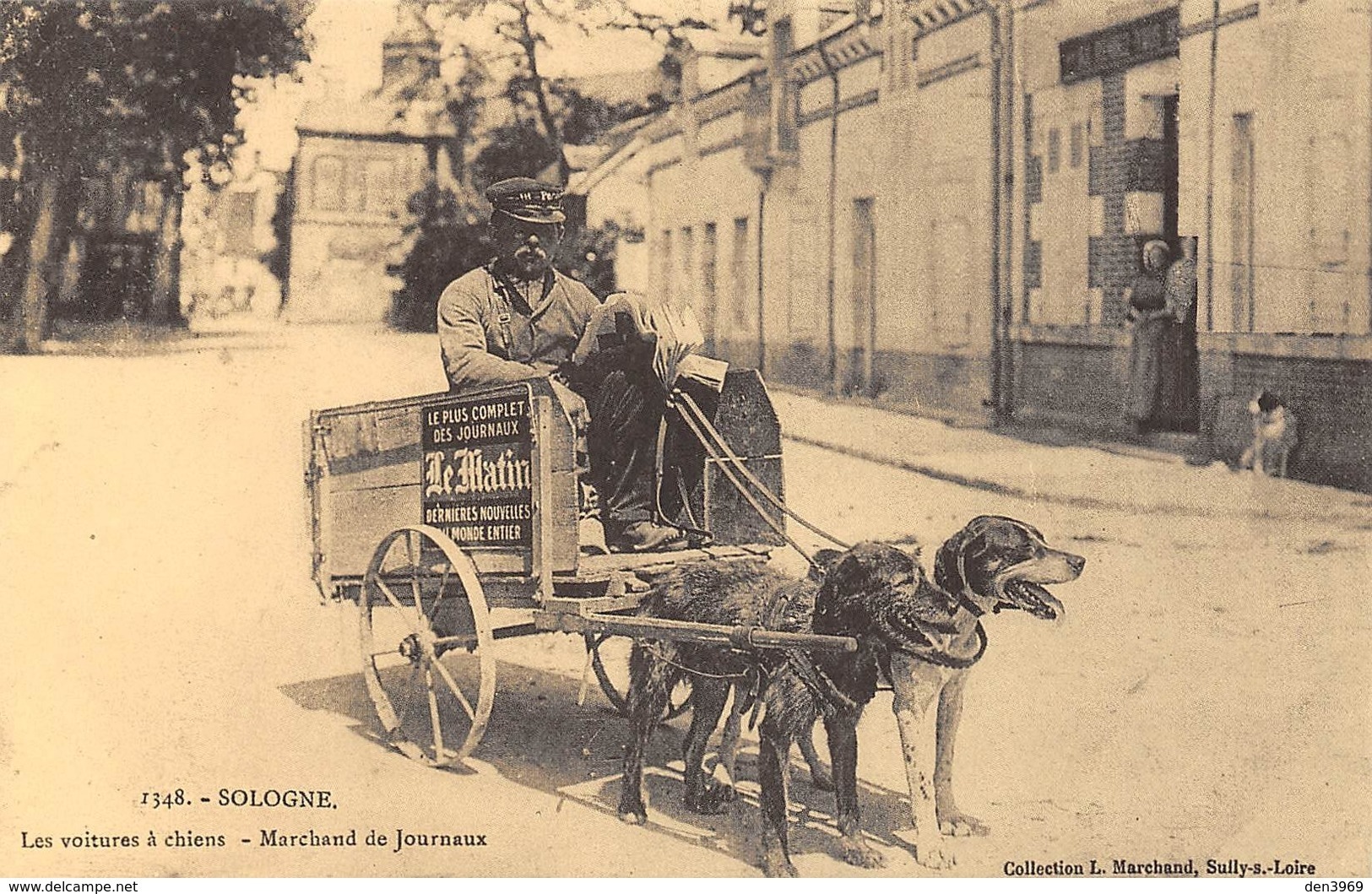 Sologne - Les Voitures à Chiens - Marchand De Journaux - Cecodi N'706 - Other & Unclassified