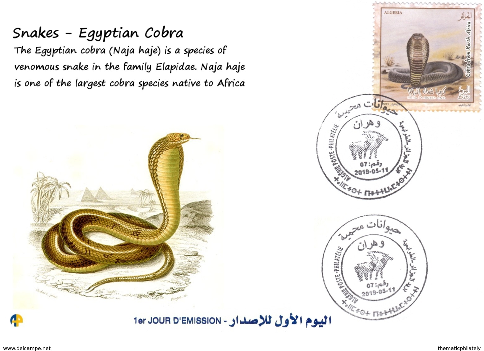 DZ Algeria 2019 FDC Specie Protette Serpenti Cobra Dal Nord Africa Cobra Egiziana Rettili Natura Animali - Serpenti