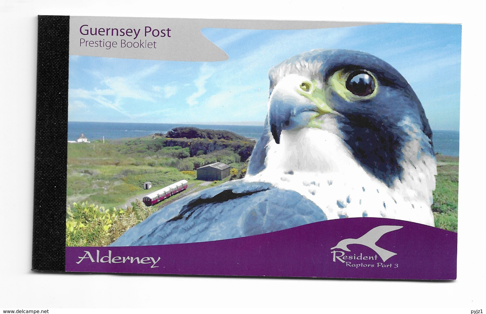 2008 MNH Alderney, Prestige Booklet Birds 3, Postfris** - Alderney