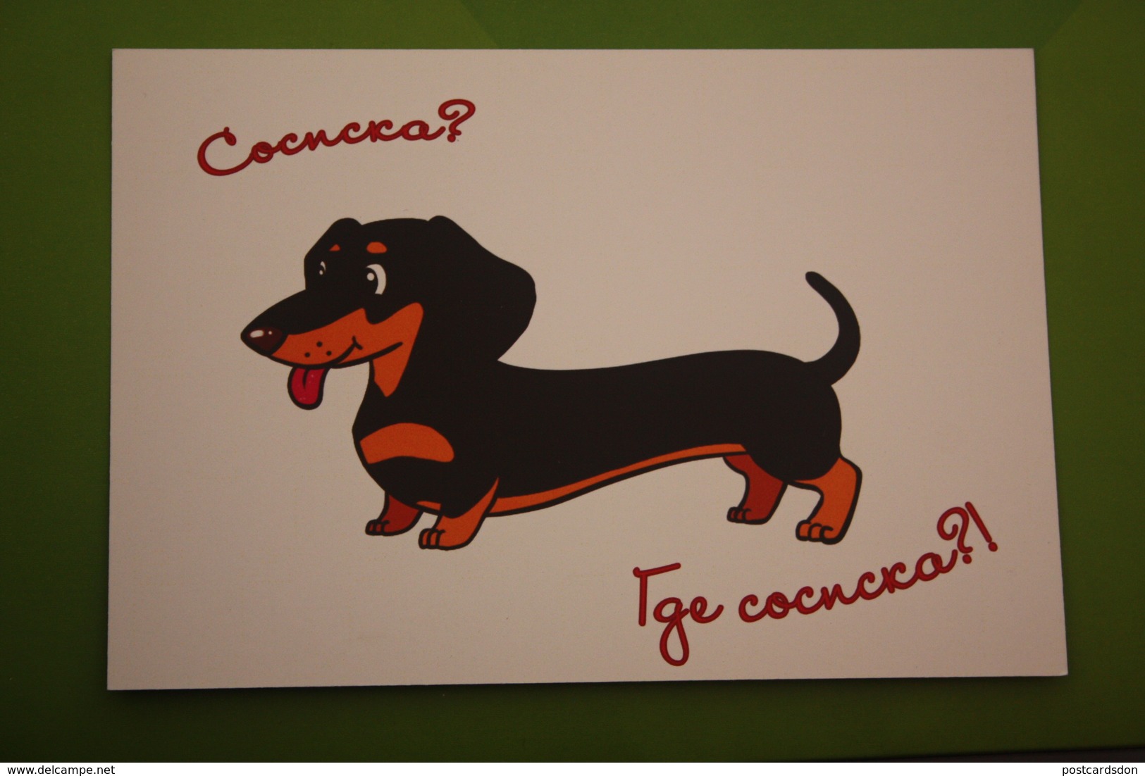 Dachshund - Dachshound - Teckel - Dackel - Bassotto - Modern Russian Postcard - Perros