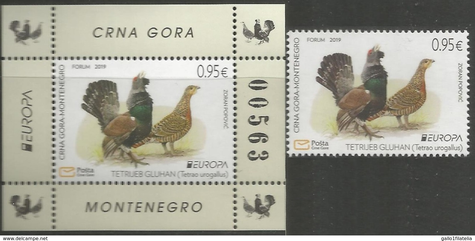 2019 - MONTENEGRO / CRNA GORA - EUROPA  CEPT - UCCELLI / BIRDS - SET COMPLETO. MNH. - 2019