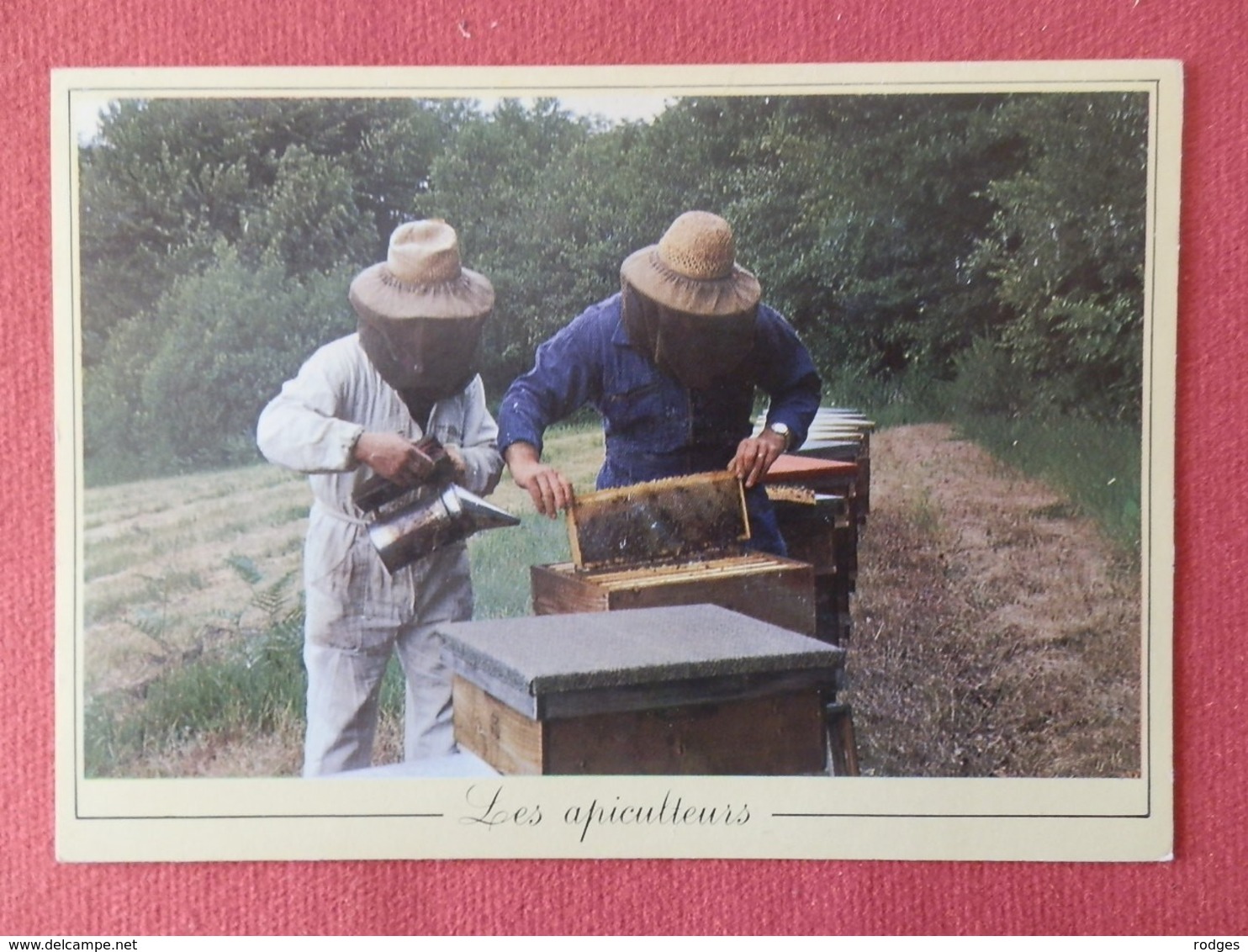 CP Les Métiers  D'Antan , 17 , Les Apiculteurs Avec Le Concours Des Abeilles Du Morvan (055) - Autres & Non Classés