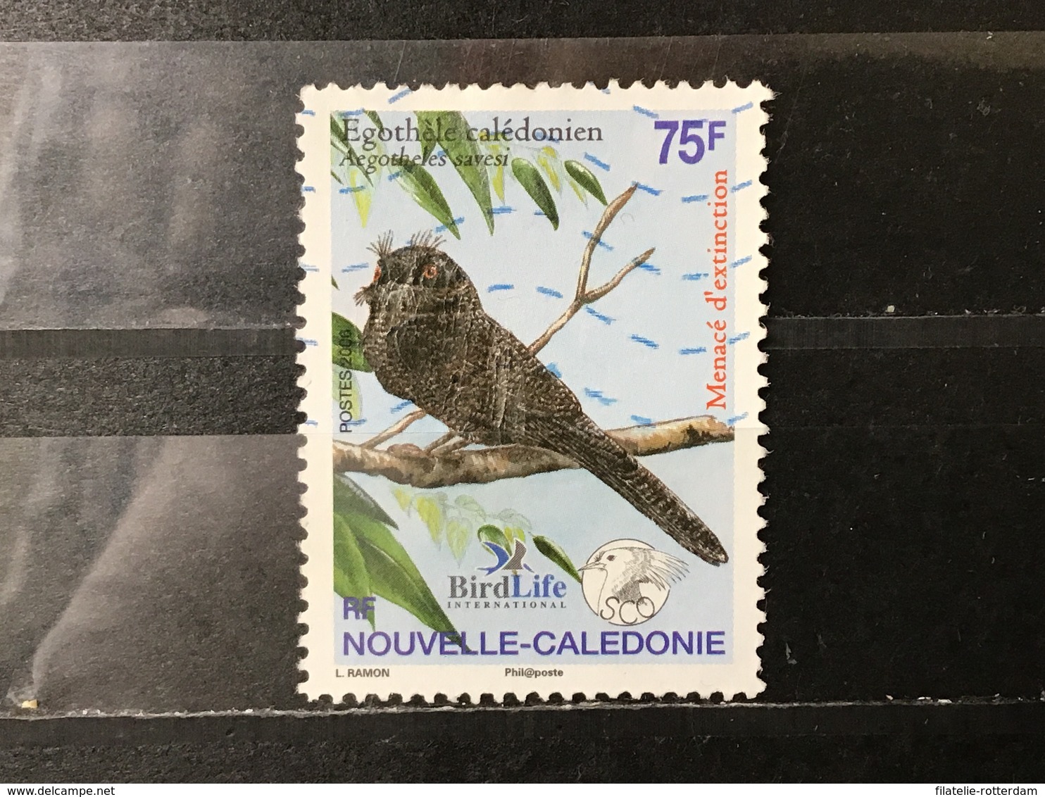 Nieuw-Caledonië / New Caledonia - Bedreigde Vogels (75) 2006 - Gebruikt