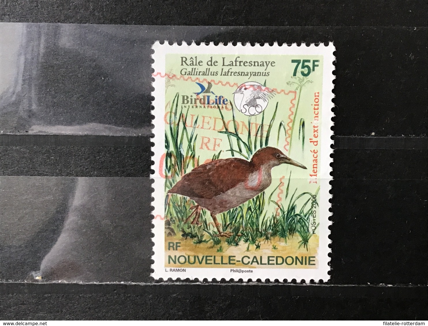 Nieuw-Caledonië / New Caledonia - Bedreigde Vogels (75) 2006 - Usados